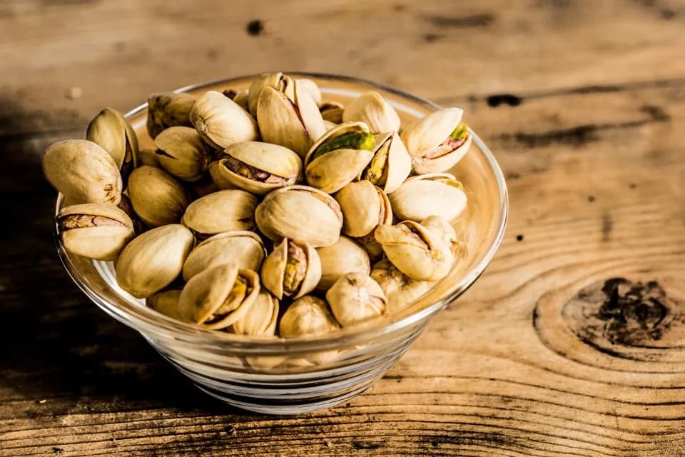 Czy koty mogą jeść pistacje? Oto, co musisz wiedzieć o ich bezpieczeństwie