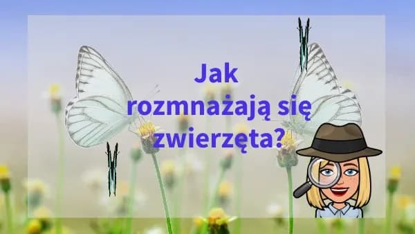 Jak rozmnażają się zwierzęta? Zaskakujące metody i strategie rozmnażania
